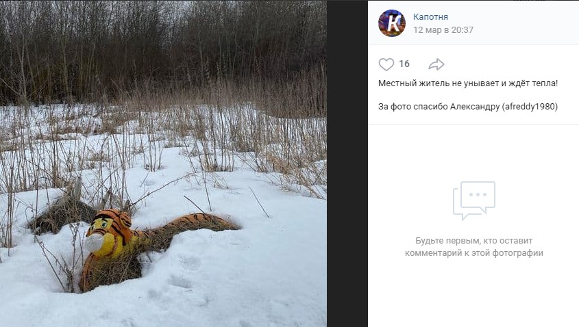 Фото дня: в &#171;джунглях&#187; Капотни притаился добрый тигр