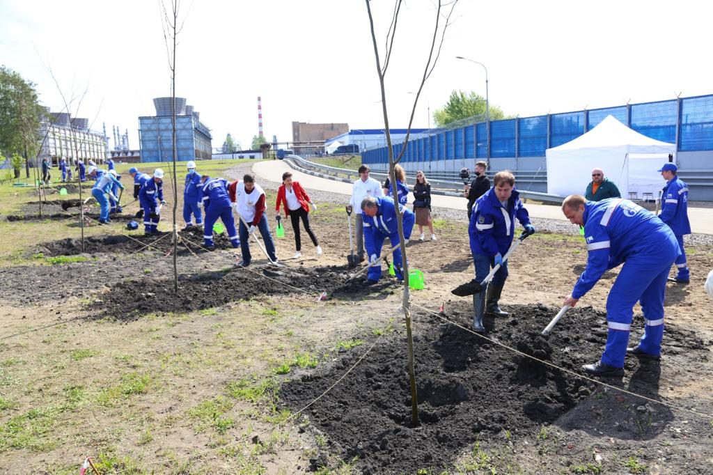 Московский НПЗ высадил деревья в поддержку акции «Сад памяти»